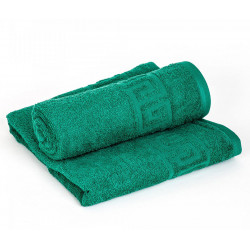 Полотенце махровое Persian green TAG